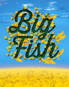 Big Fish show poster