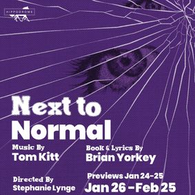 Next to Normal show poster
