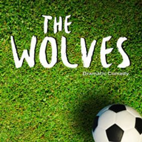 The Wolves show poster