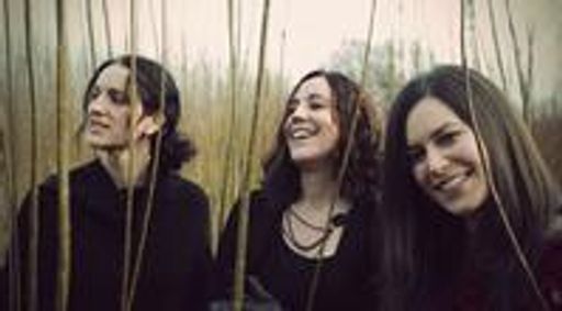 The Henry Girls show poster