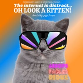 The Internet is Distract...OH LOOK A KITTEN! show poster