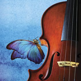 Stony Brook Symphony Orchestra show poster