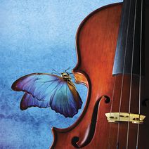 Stony Brook Symphony Orchestra