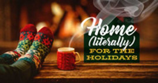 Home (Literally) For The Holidays show poster