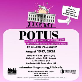 Potus: Or Behind Every Great Dumbass are Seven Women Trying to Keep Him Alive show poster
