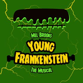 YOUNG FRANKENSTEIN, The Musical show poster