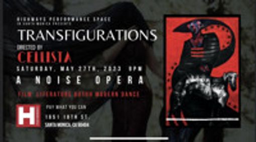 Transfigurations: A Noise Opera by Cellista show poster