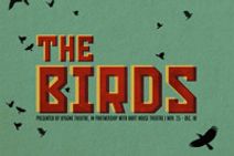 The Birds