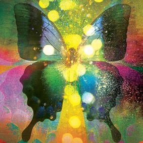 The Butterfly's Evil Spell show poster