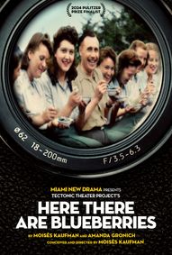 Here There Are Blueberries show poster