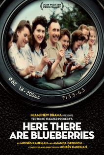 Here There Are Blueberries