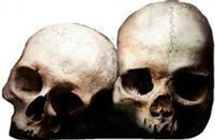 Medieval Macabre show poster