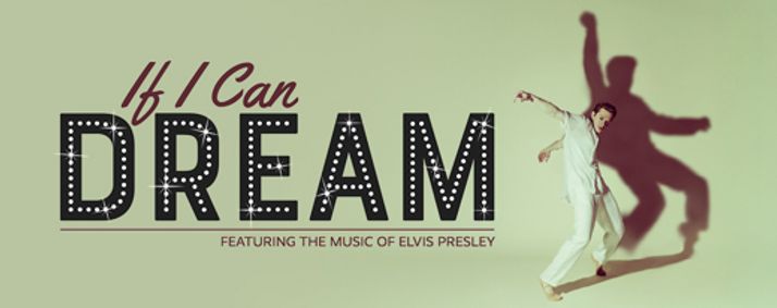 If I Can Dream show poster