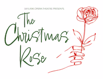 The Christmas Rose
