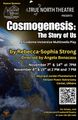 Cosmogenesis: The Story of Us in Maine