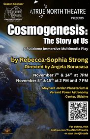 Cosmogenesis: The Story of Us show poster