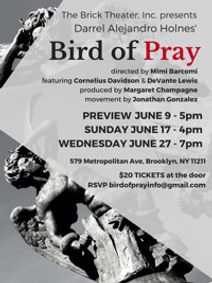 Bird of Pray show poster