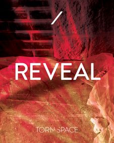 REVEAL show poster