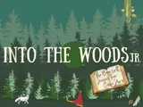 INTO THE WOODS JR. @ THE BVP in Ottawa