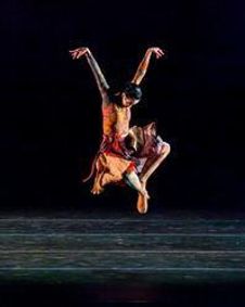 Grupo Corpo show poster