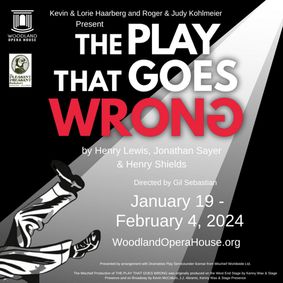 The Play That Goes Wrong show poster
