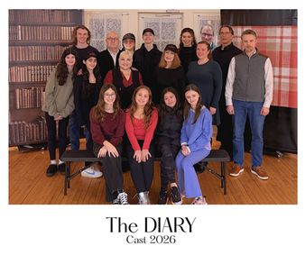 The Diary show poster