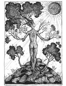 Michigan Trees: A Guide to the Trees of Michigan and the Great Lakes Region show poster