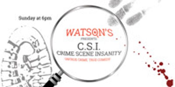 CSI: Crime Scene Insanity show poster