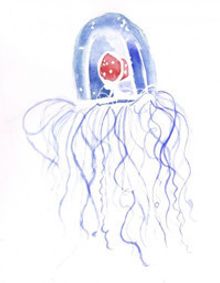 LIKE JELLY show poster