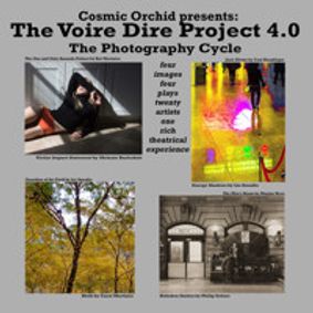 The Voire Dire Project 4.0: The Photography Cycle show poster