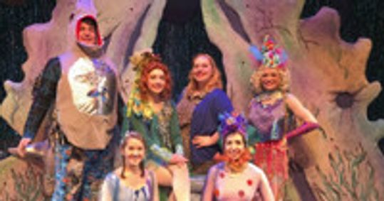 Fancy Nancy show poster