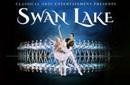 Swan Lake: International Ballet Stars in St. Petersburg, FL! in Off-Off-Broadway
