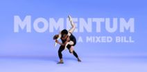 Momentum: A Mixed Bill