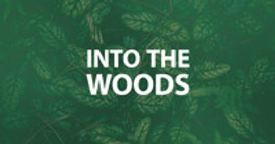 Into the Woods show poster