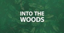 Into the Woods
