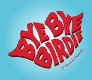 Bye Bye Birdie show poster