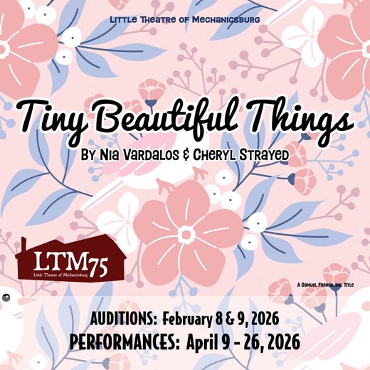 TINY BEAUTIFUL THINGS