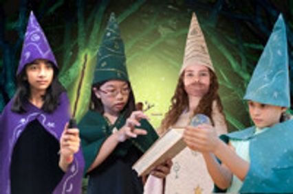 The Magic Wand show poster