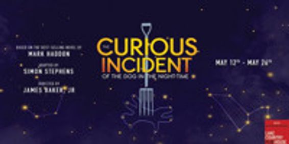 The Curious Incident of the Dog in the Night-Time show poster