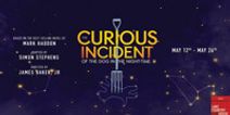 The Curious Incident of the Dog in the Night-Time