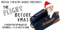 The Flight Before Xmas by Maggie Lee