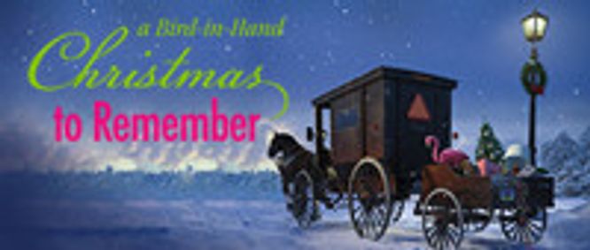 A Bird-in-Hand Christmas to Remember – Our Day in Paradise show poster