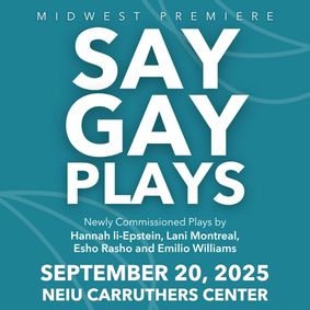 Say Gay Plays show poster