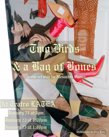 Two Birds And A Bag Of Bones show poster