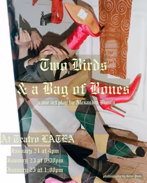 Two Birds And A Bag Of Bones