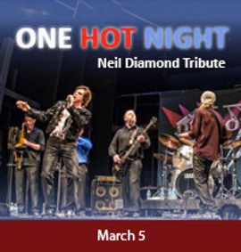 One Hot Night - A Neil Diamond Tribute at The Noel S. Ruiz Theatre show poster