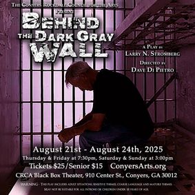 Behind the Dark Gray Wall show poster