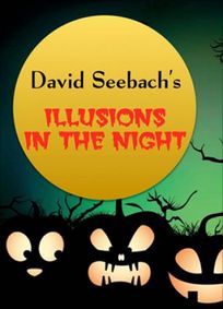 David Seebach's Illusions in the Night show poster