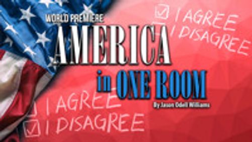 America In One Room show poster