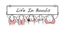Life in Boobs